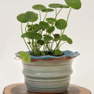 Flower Vase